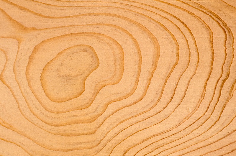 hinoki