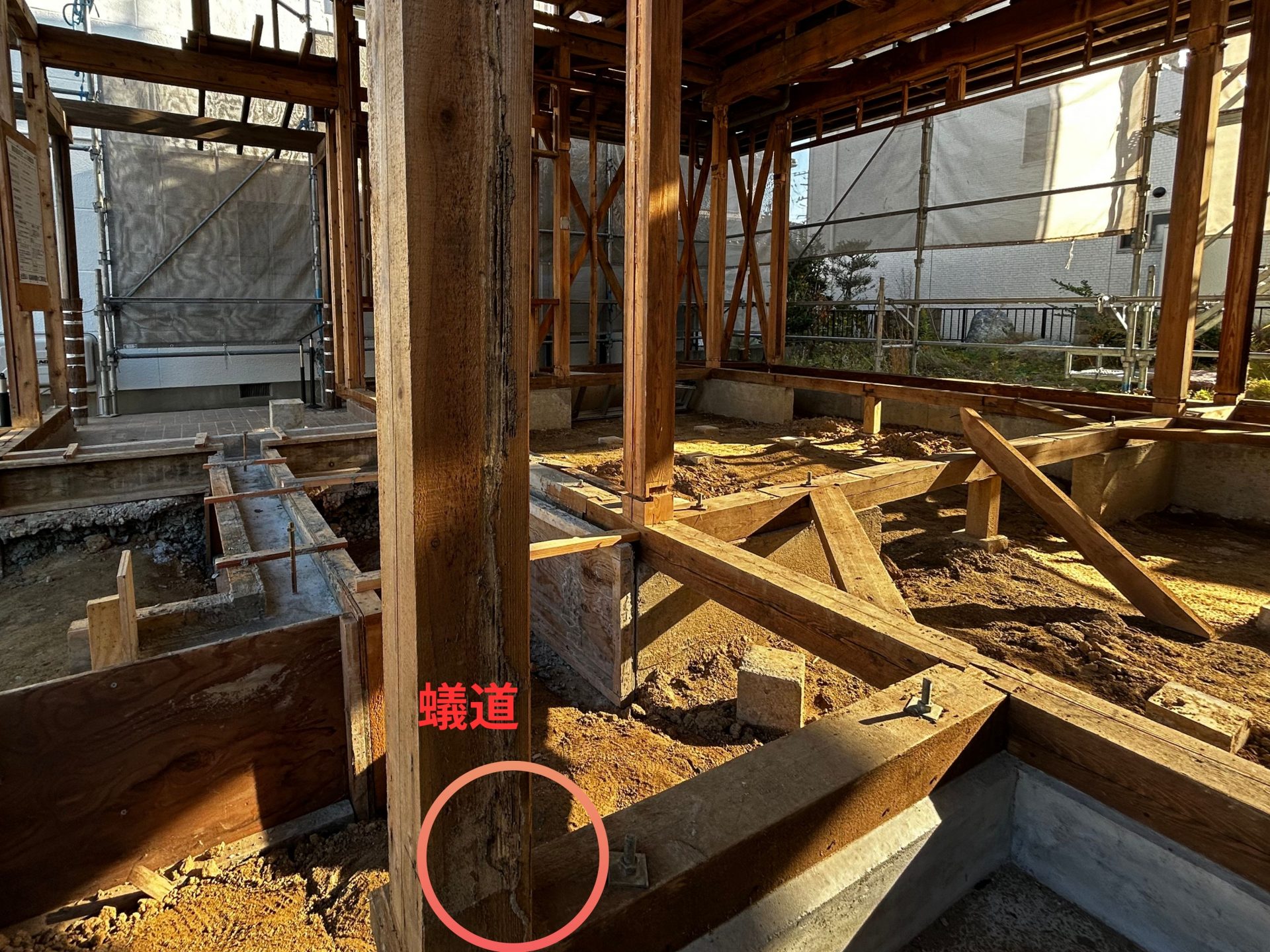 人にやさしい、シロアリ対策とは…？