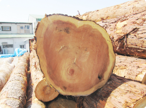 無垢の木でつくる暮らし。自然素材の家がもたらす心地よさとは？